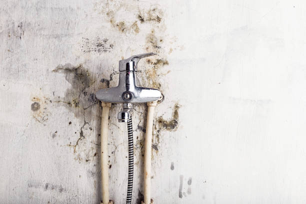 Best Mold Testing  in Napervle, IL