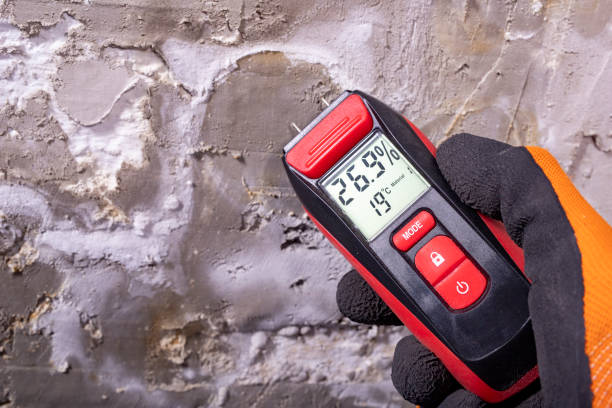 Best Home Mold Removal  in Napervle, IL