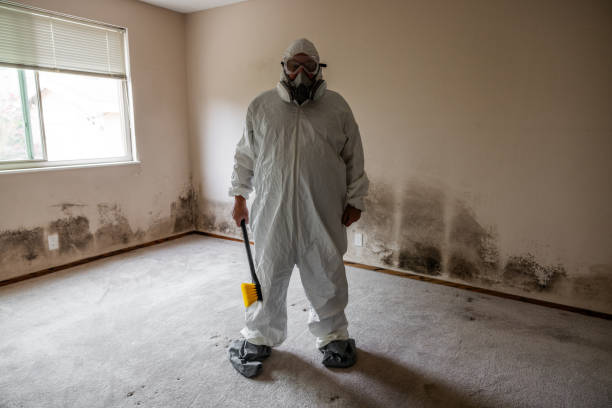 Certified Mold Removal in Naperville, IL